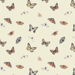 Meet your Posher, Mackenzie